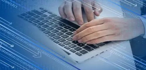 Java與網絡安全 從零基礎入門到精通，就業前景全面解析